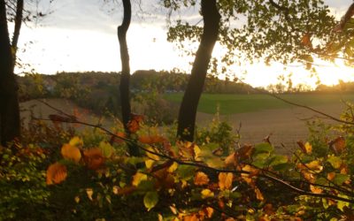 REISEBLOG 7 #Schweigen