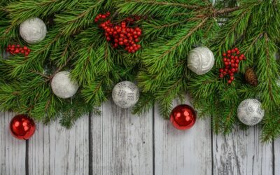 Weihnachts-News von Bücher mit Herz 💖