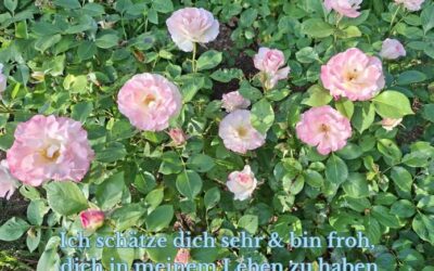 BLEIB IM FLOW mit Margeaux #1