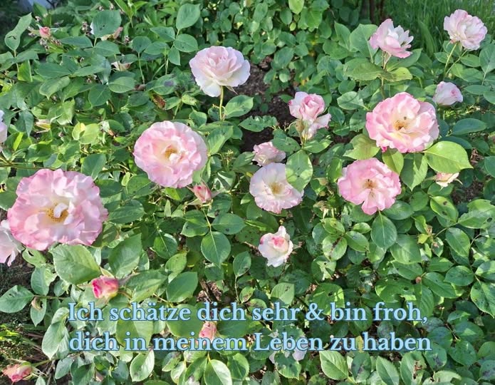 BLEIB IM FLOW mit Margeaux #1